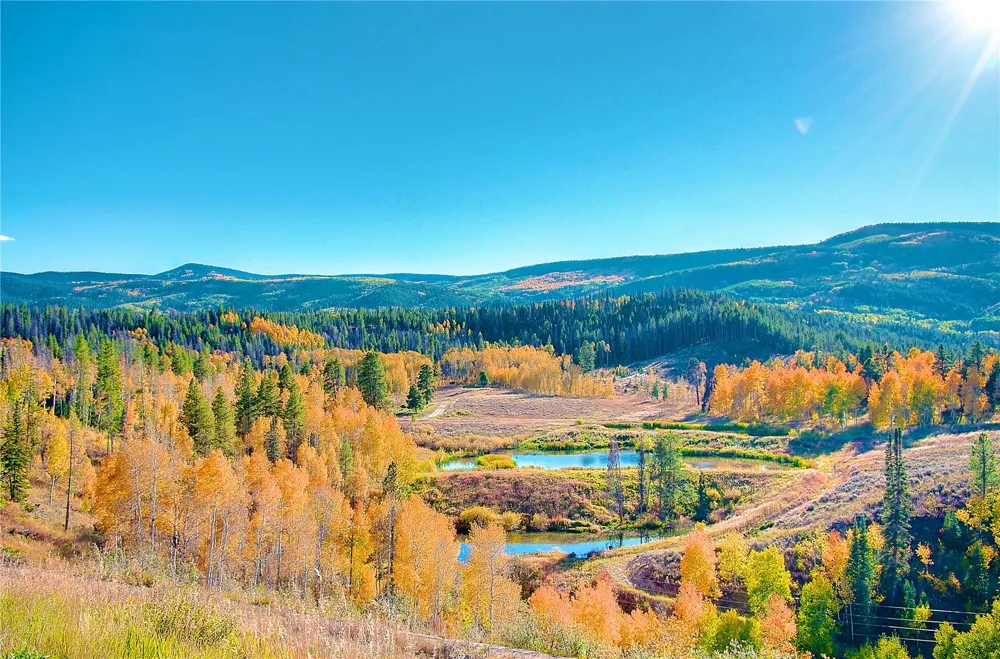 23800 County Road 16 #508 Oak Creek, CO 80467