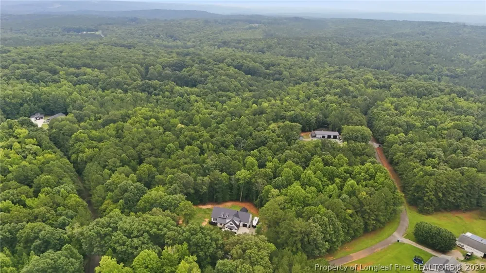 61 Erma Thomas Lane Sanford, NC 27330