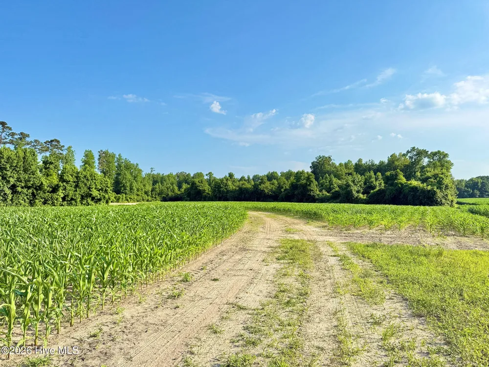 Off Swamp Fox Hwy Highway E Tabor City, NC 28463