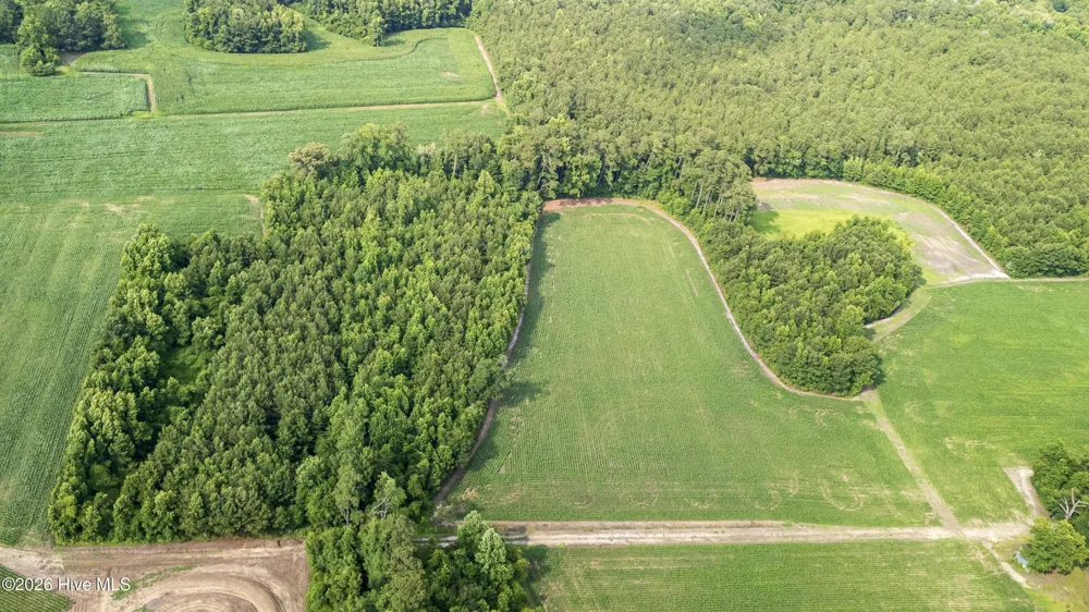 Off Swamp Fox Hwy Highway E Tabor City, NC 28463