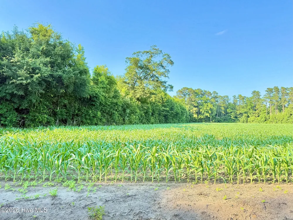 Off Swamp Fox Hwy Highway E Tabor City, NC 28463