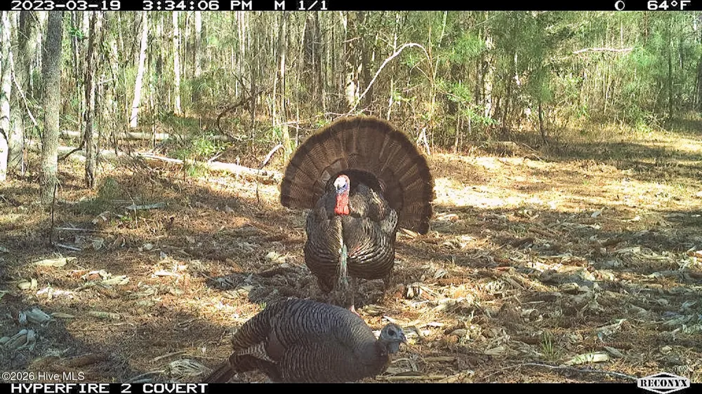 Off Swamp Fox Hwy Highway E Tabor City, NC 28463