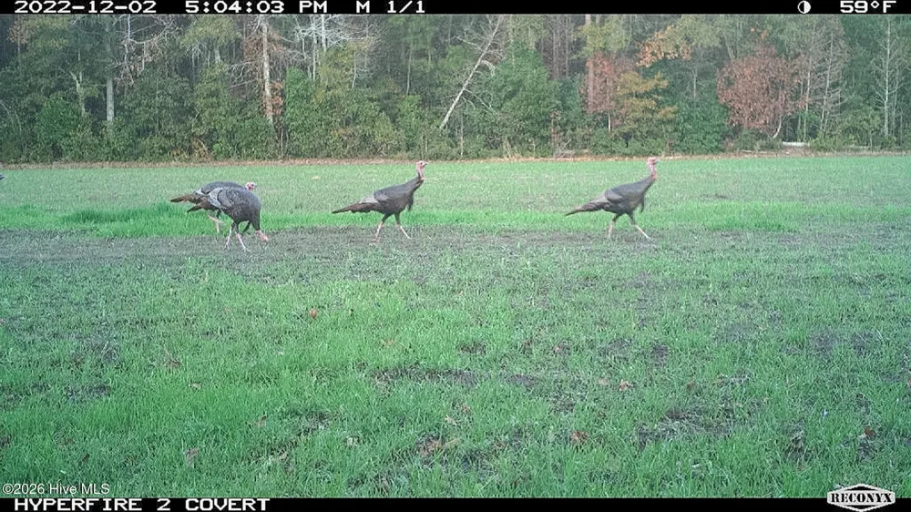 Off Swamp Fox Hwy Highway E Tabor City, NC 28463