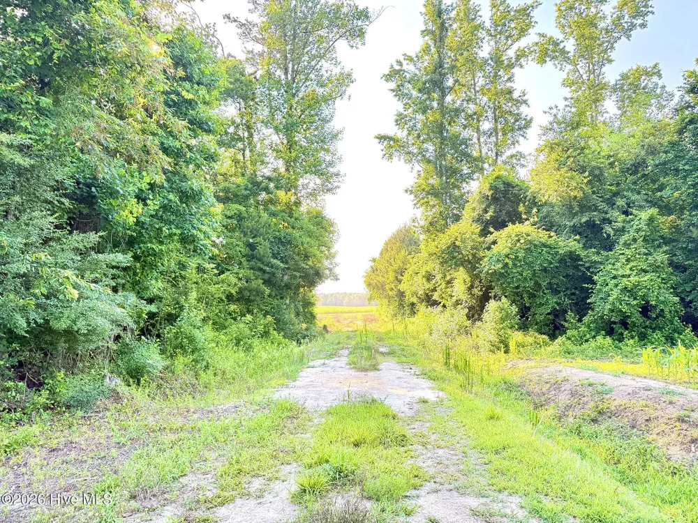 Off Swamp Fox Hwy Highway E Tabor City, NC 28463