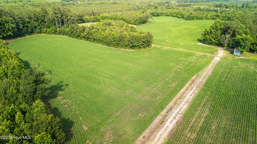 Off Swamp Fox Hwy Highway E Tabor City, NC 28463
