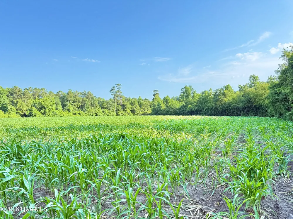 Off Swamp Fox Hwy Highway E Tabor City, NC 28463