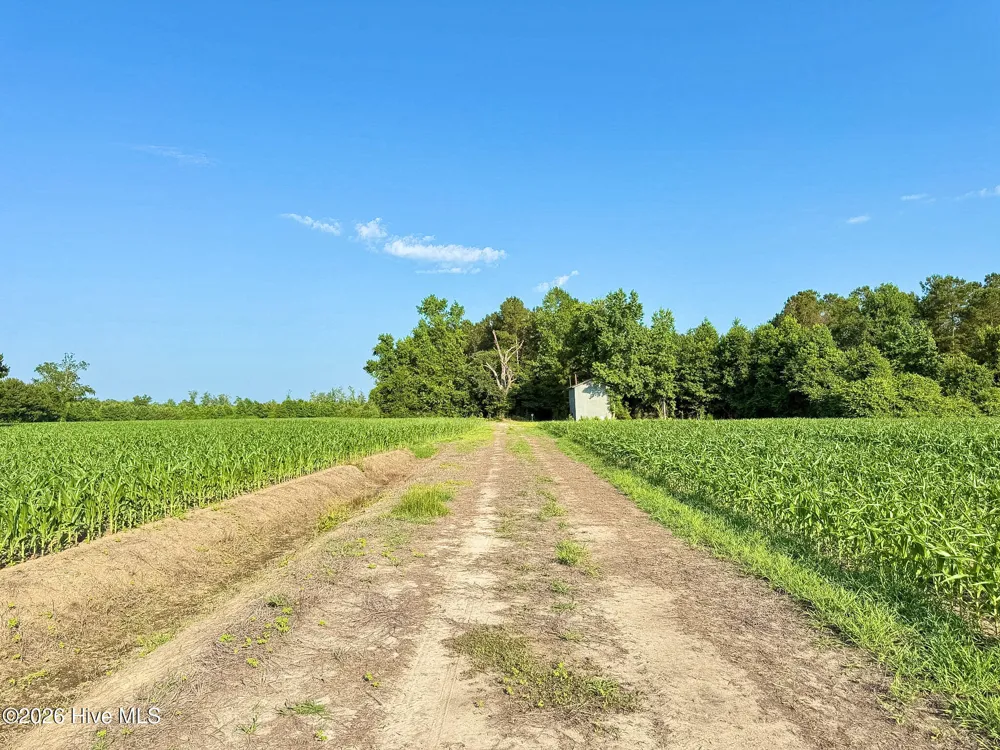 Off Swamp Fox Hwy Highway E Tabor City, NC 28463