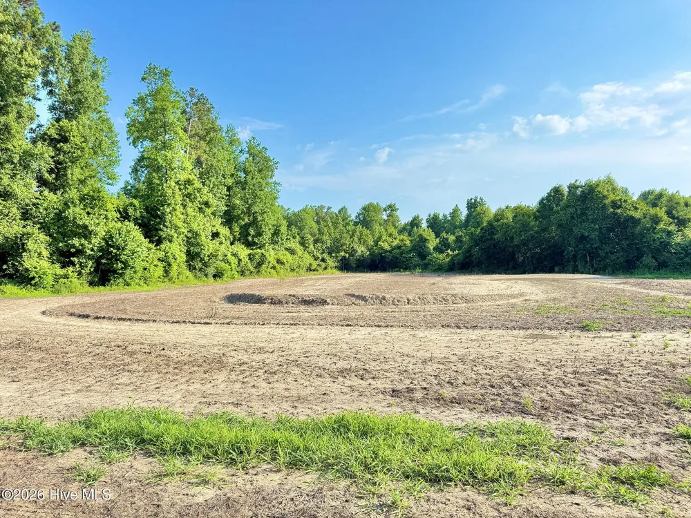 Off Swamp Fox Hwy Highway E Tabor City, NC 28463