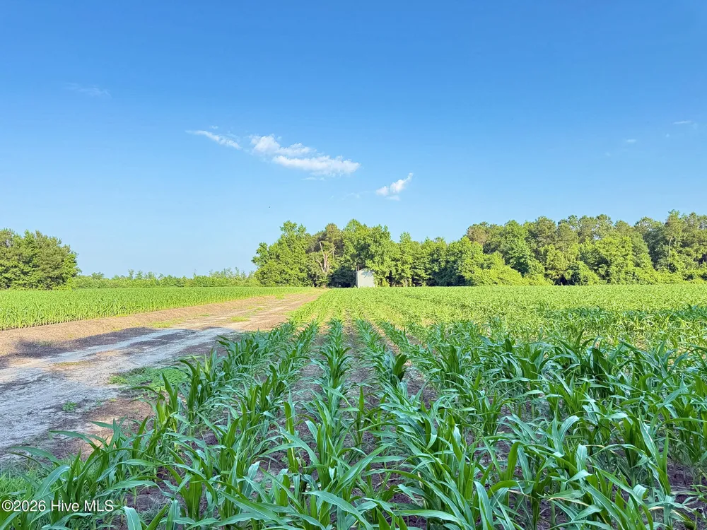 Off Swamp Fox Hwy Highway E Tabor City, NC 28463