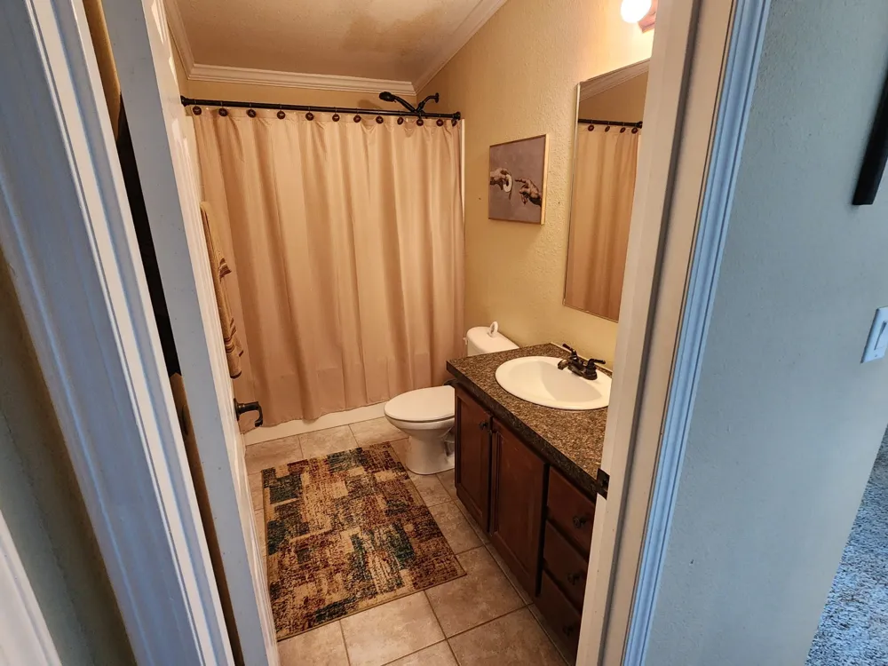 1309 S Mingus Boulevard Mingus, TX 76463