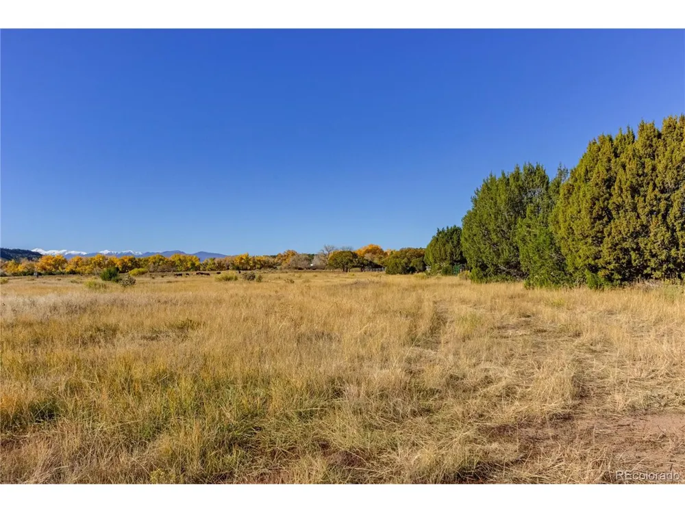 74 US Hwy 160 Walsenburg, CO 81089