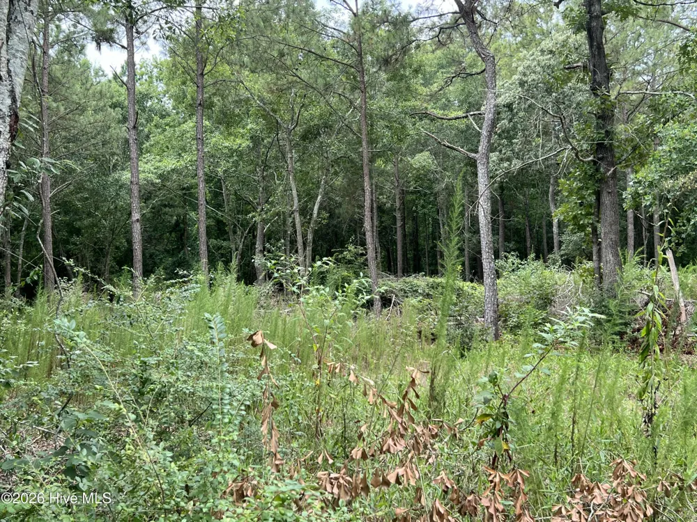 Lot 17 Brookwind Lane Dunn, NC 28334