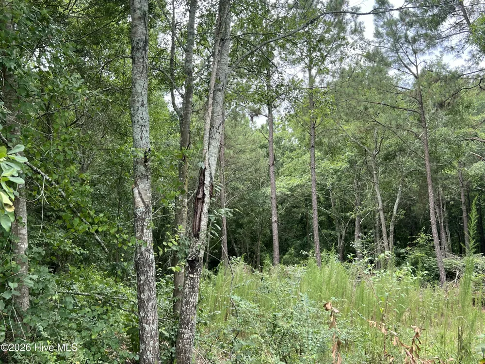 Lot 17 Brookwind Lane Dunn, NC 28334