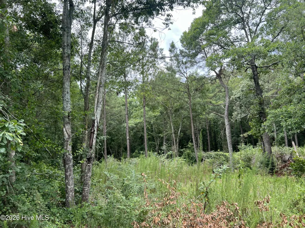 Lot 17 Brookwind Lane Dunn, NC 28334