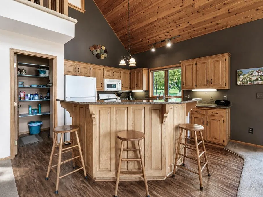 41748 E Shore Drive Kilkenny, MN 56052