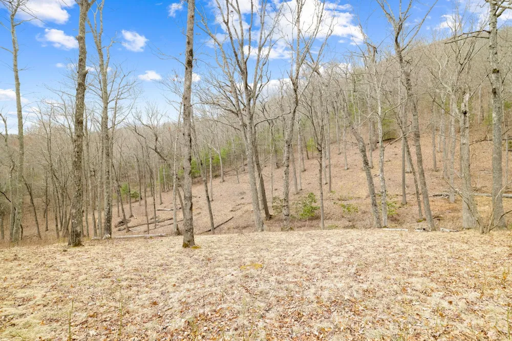527 North Robinson Creek Road Glenville, NC 28736