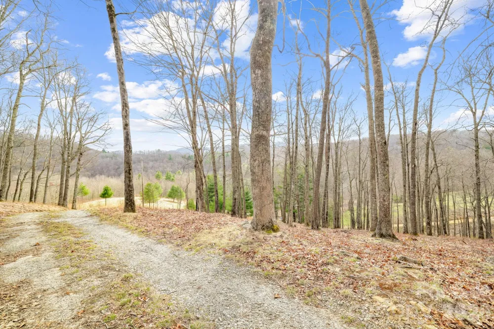 527 North Robinson Creek Road Glenville, NC 28736