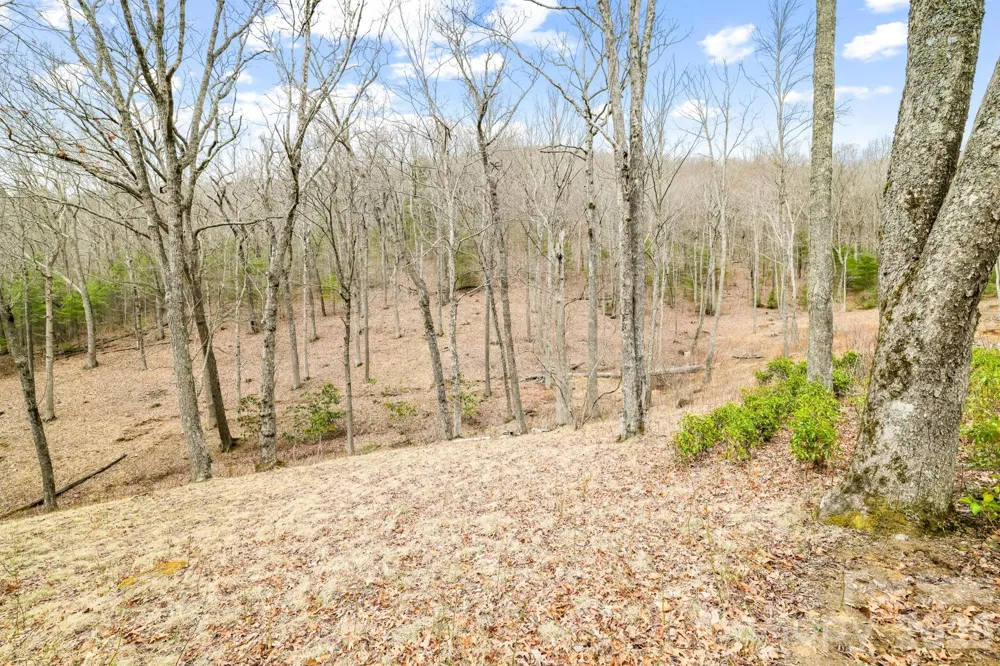 527 North Robinson Creek Road Glenville, NC 28736