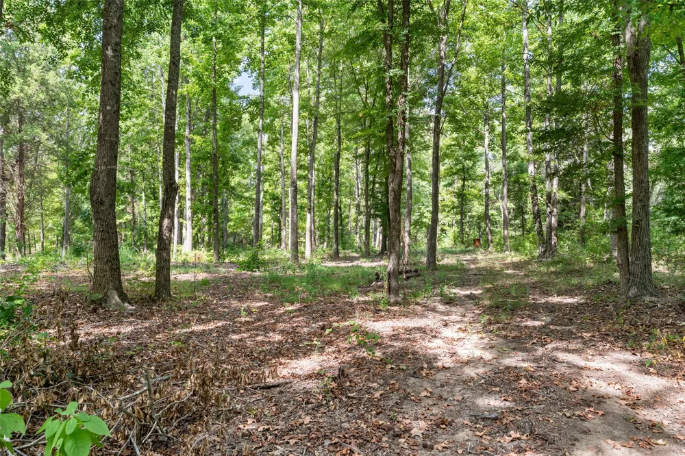 3374 Fm 1652 Grand Saline, TX 75140