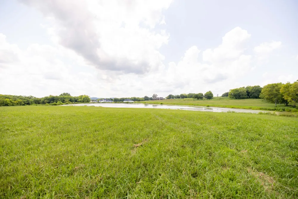 3009 Snowbird Ct Franklin, TN 37064
