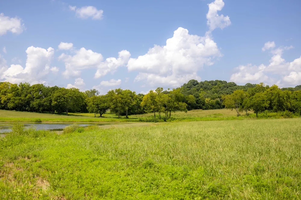 3009 Snowbird Ct Franklin, TN 37064