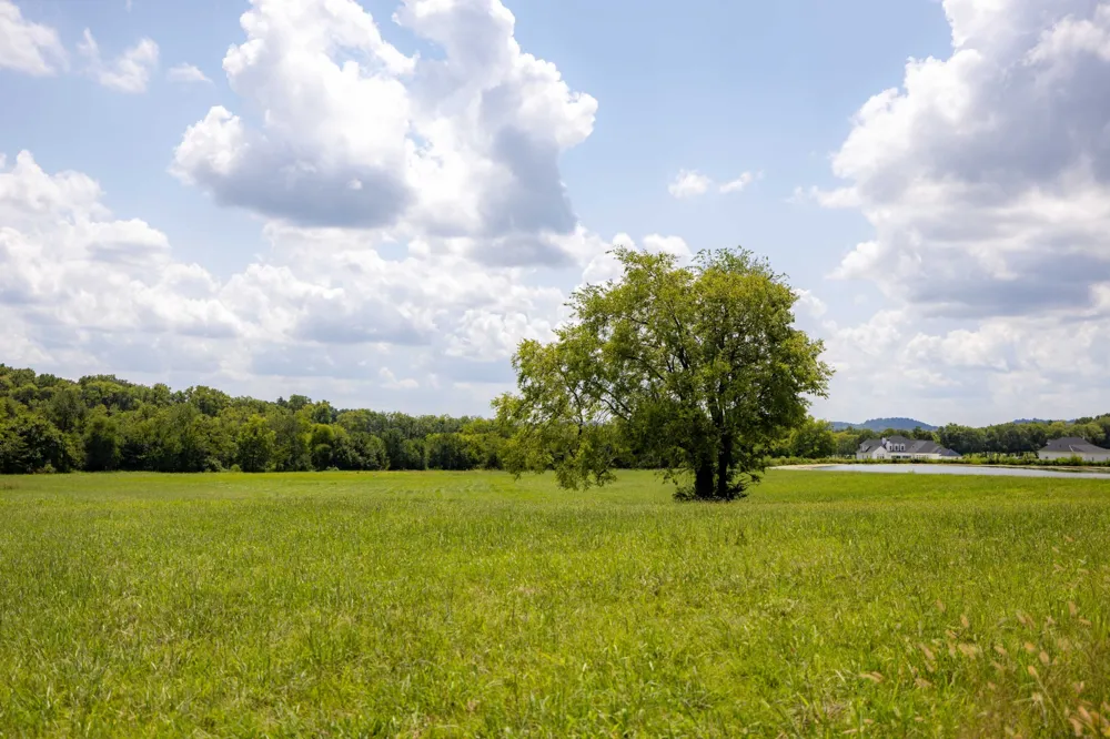 3009 Snowbird Ct Franklin, TN 37064