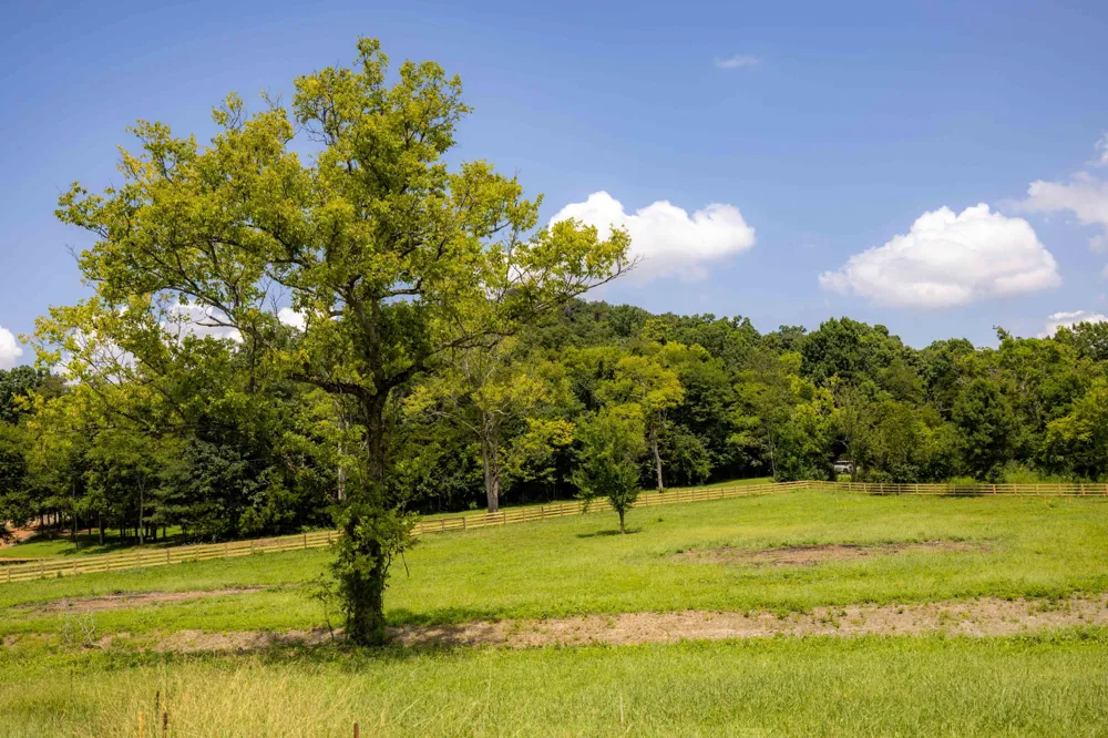 3000 Snowbird Ct Franklin, TN 37064