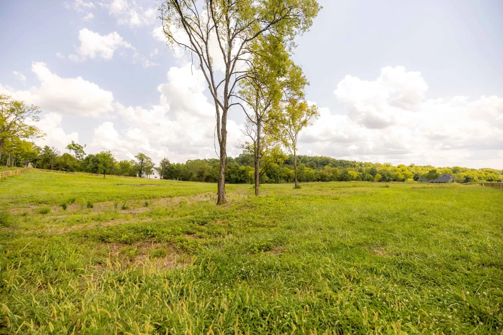 3000 Snowbird Ct Franklin, TN 37064
