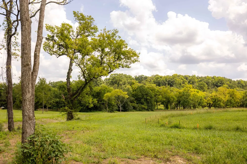 3000 Snowbird Ct Franklin, TN 37064