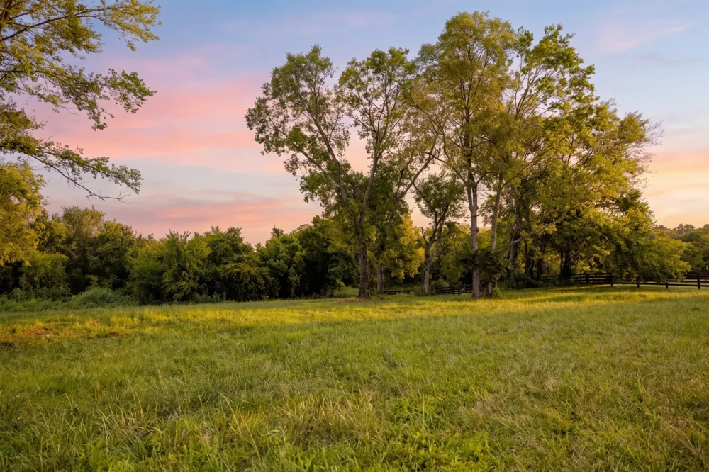 3000 Snowbird Ct Franklin, TN 37064