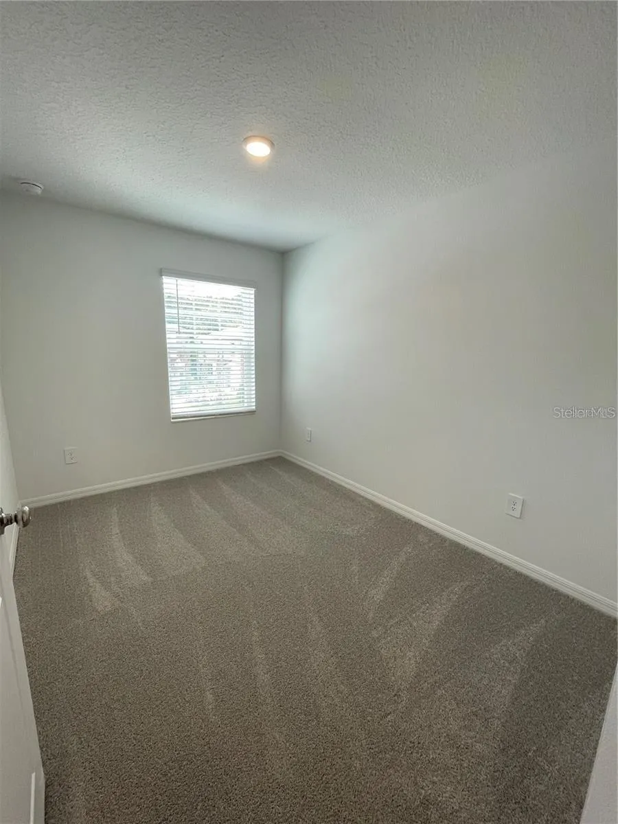 10199 TRUMPET HONEYSUCKLE WAY San Antonio, FL 33576