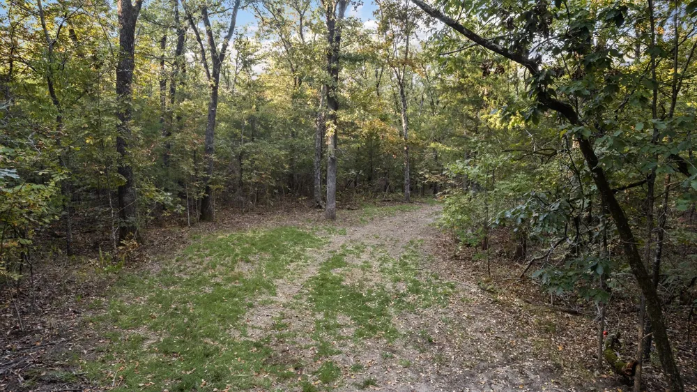 1473 County Road 2980 Windom, TX 75492