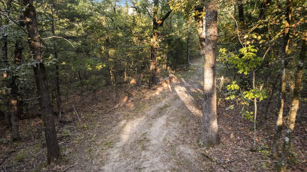 1473 County Road 2980 Windom, TX 75492