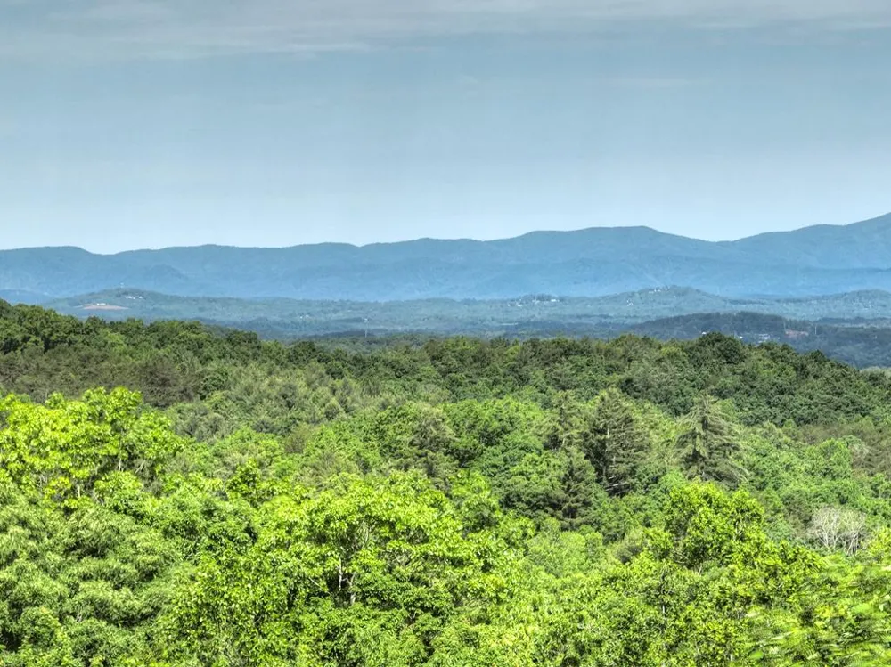 54 Channing Hollow Morganton, GA 30560