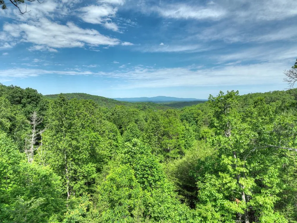 54 Channing Hollow Morganton, GA 30560