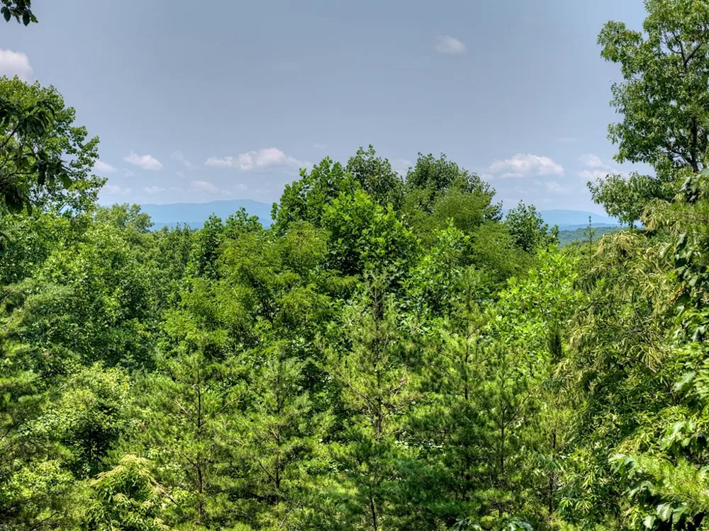 54 Channing Hollow Morganton, GA 30560