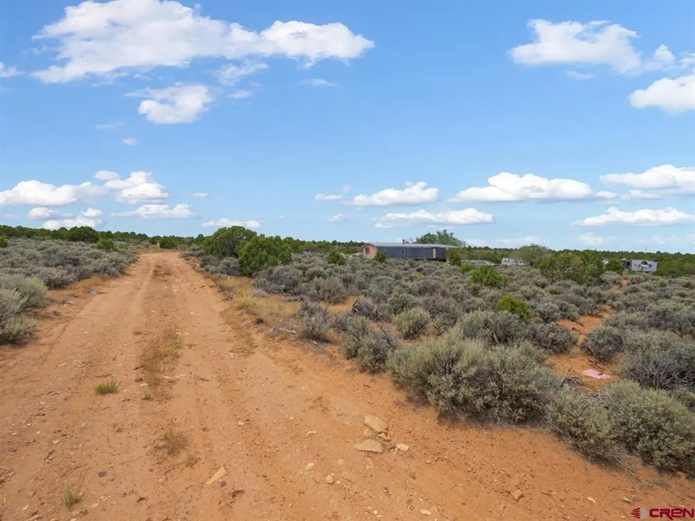 19515 Paradox Trail Montrose, CO 81403