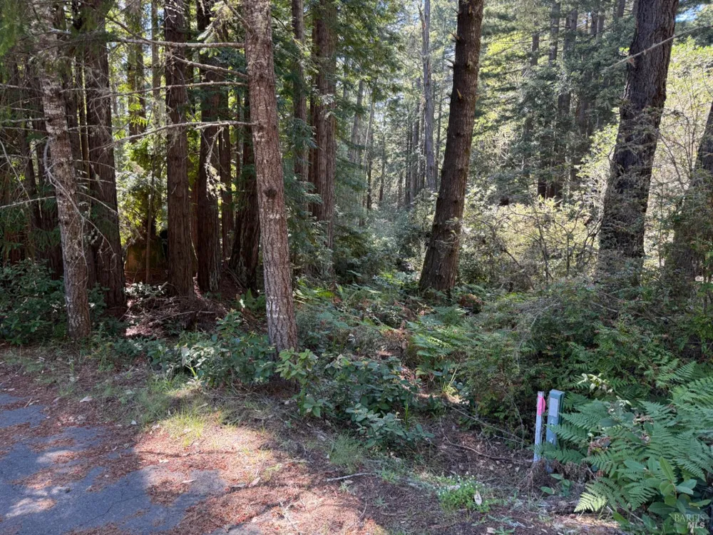 369 Big Tree Close Road ##27A13 The Sea Ranch, CA 95497