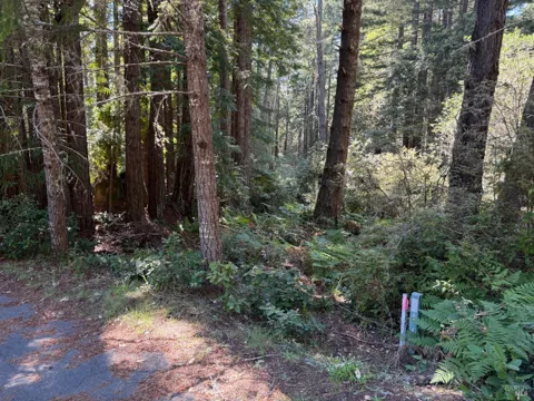 369 Big Tree Close Road ##27A13