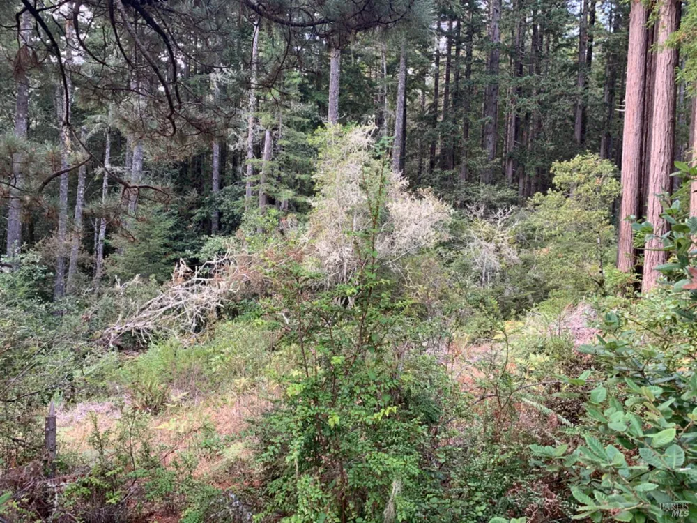 369 Big Tree Close Road ##27A13 The Sea Ranch, CA 95497