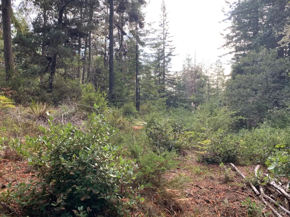 369 Big Tree Close Road ##27A13 The Sea Ranch, CA 95497