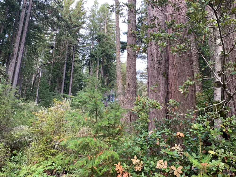 369 Big Tree Close Road ##27A13 The Sea Ranch, CA 95497
