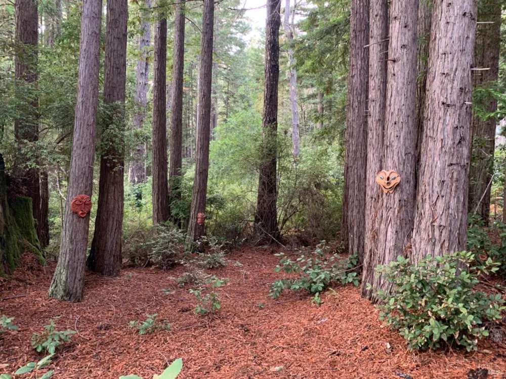 369 Big Tree Close Road ##27A13 The Sea Ranch, CA 95497