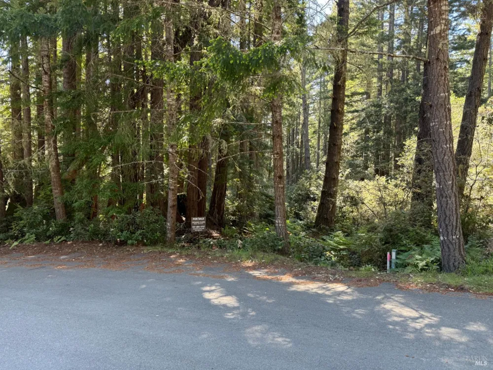 369 Big Tree Close Road ##27A13 The Sea Ranch, CA 95497