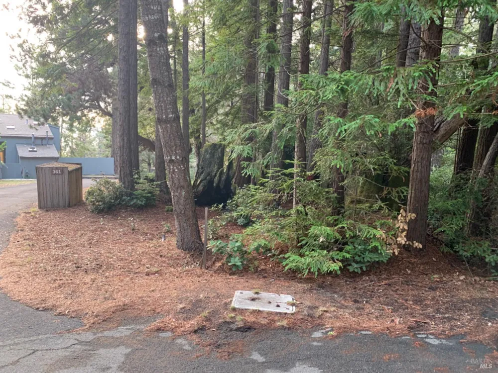369 Big Tree Close Road ##27A13 The Sea Ranch, CA 95497