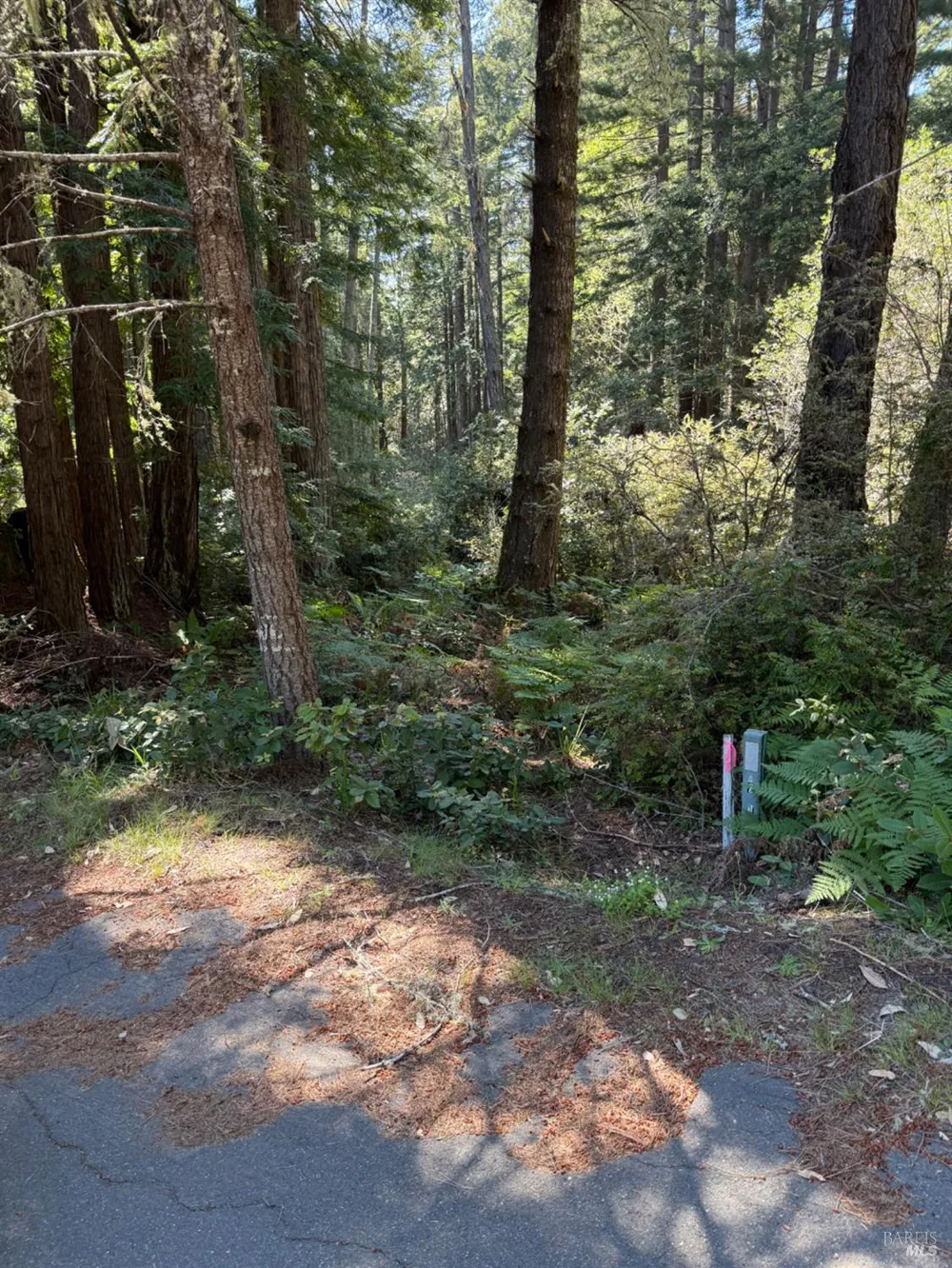 369 Big Tree Close Road ##27A13 The Sea Ranch, CA 95497