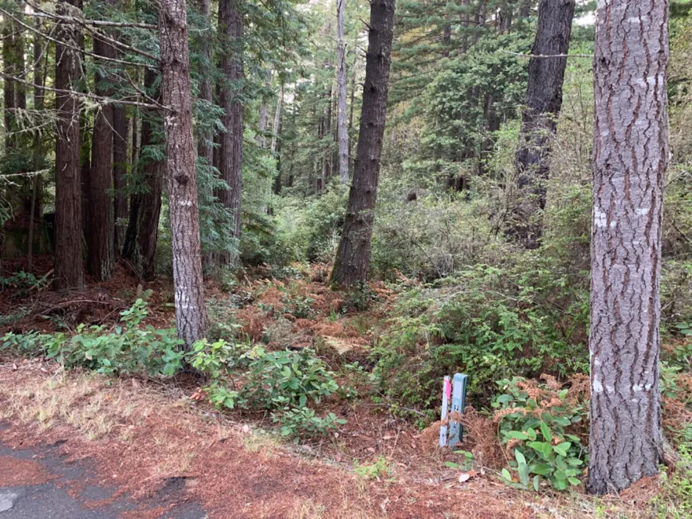369 Big Tree Close Road ##27A13 The Sea Ranch, CA 95497