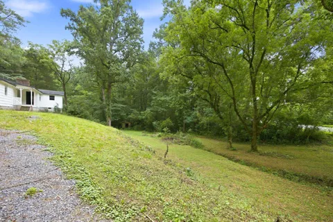 943 Roach Hollow Road