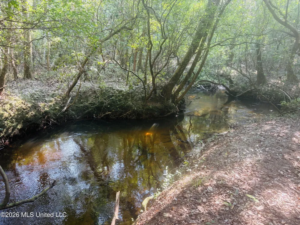 E Beasley Road Lucedale, MS 39452