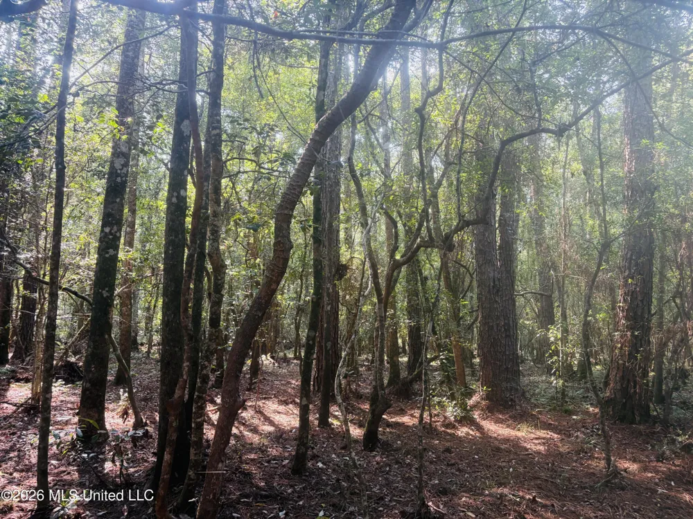 E Beasley Road Lucedale, MS 39452